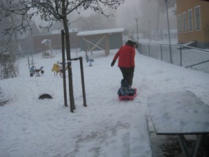 IMG_6941[1]