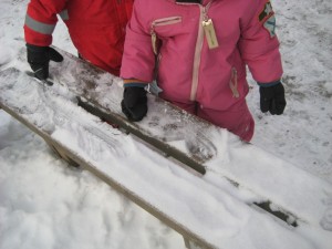 IMG_6981[1]