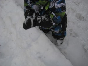 IMG_6983[1]