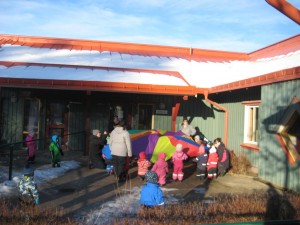 IMG_7017[1]