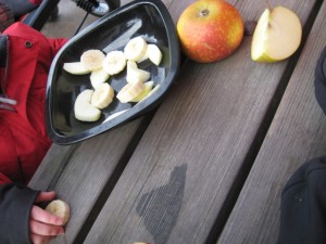 IMG_7115[1]