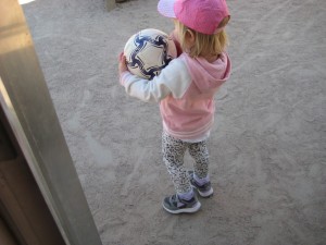 IMG_7587[1]