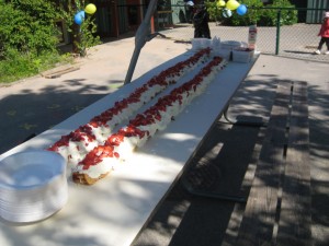 IMG_7609[1]