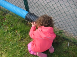 IMG_7812[1]