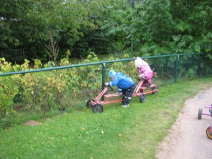 IMG_7858[1]