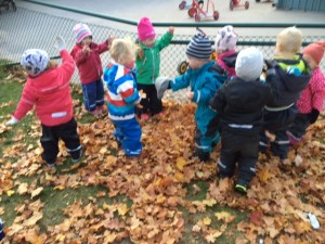 IMG_2286 bild 14 okt
