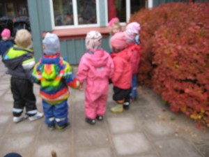 IMG_7964[1]