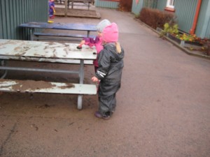 IMG_8056[1]