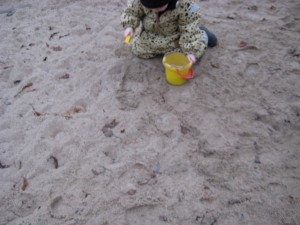 IMG_8125[1]