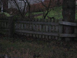 IMG_8128[1]