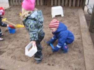 IMG_8136[1]