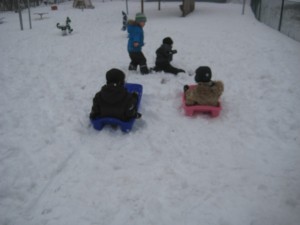 IMG_8230[1]