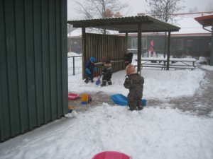 IMG_8233[1]