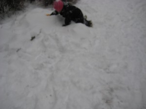 IMG_8255[1]