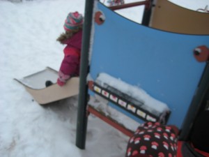 IMG_8265[1]