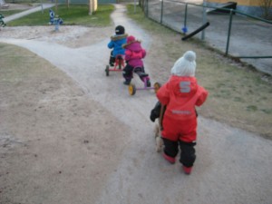IMG_8296[1]
