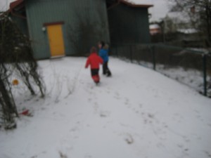 IMG_8324[1]