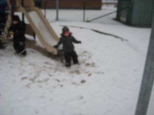 IMG_8325[1]