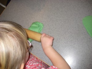 IMG_8330[1]