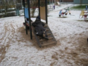 IMG_8353[1]