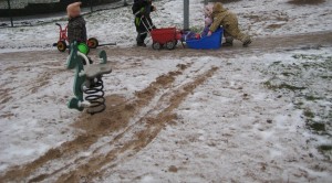 IMG_8355[1]