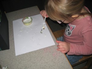IMG_8423[1]