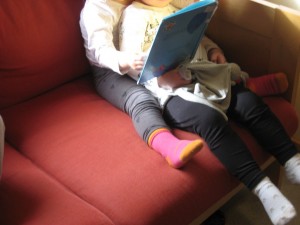 IMG_8461[1]