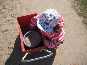 IMG_8651[1]