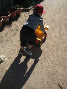IMG_8669[2]