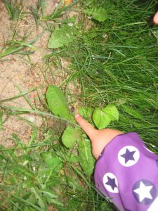IMG_8697[1]