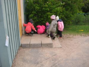 IMG_8701[1]