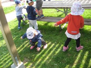 IMG_8734[1]