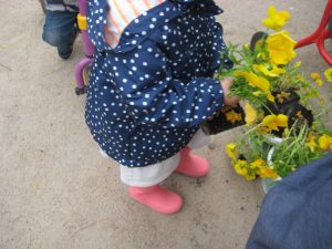 IMG_8744[1]