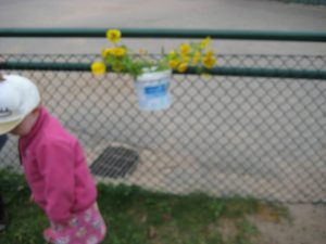 IMG_8746[1]