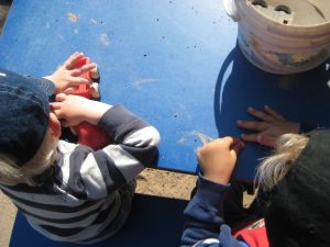 IMG_8749[1]