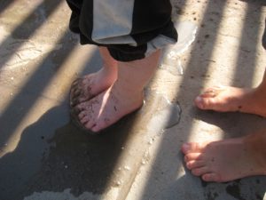 IMG_8775[1]