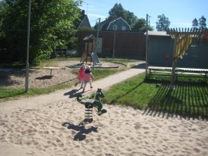 IMG_8794[1]