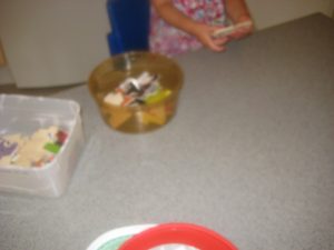 IMG_8858