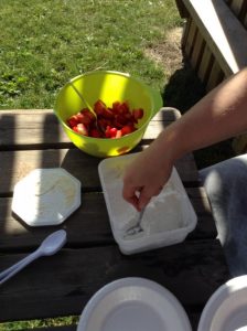 midsommar7